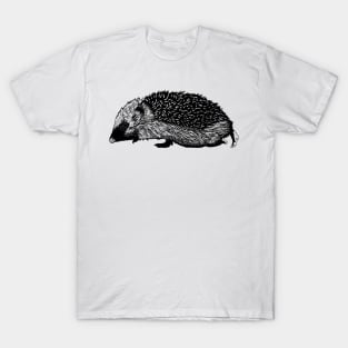 Drawing of a hedgehog T-Shirt